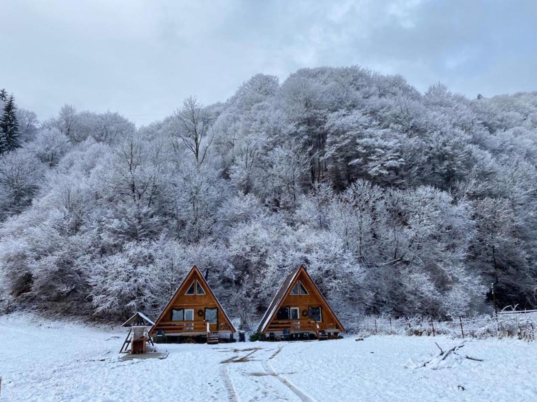Cabanutze Satic Villa Rucăr Exterior photo