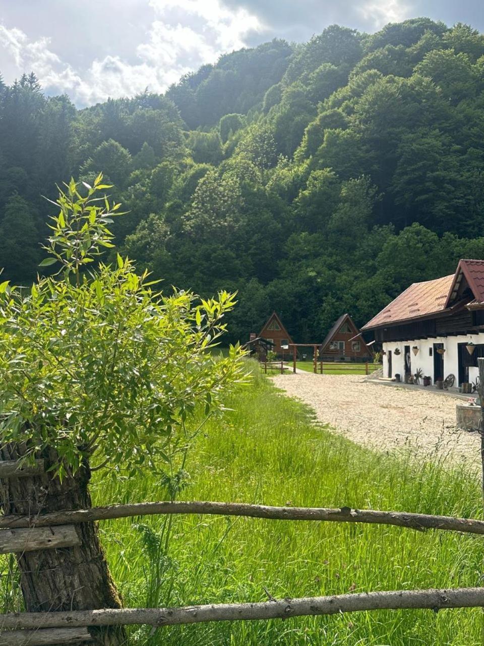 Cabanutze Satic Villa Rucăr Exterior photo