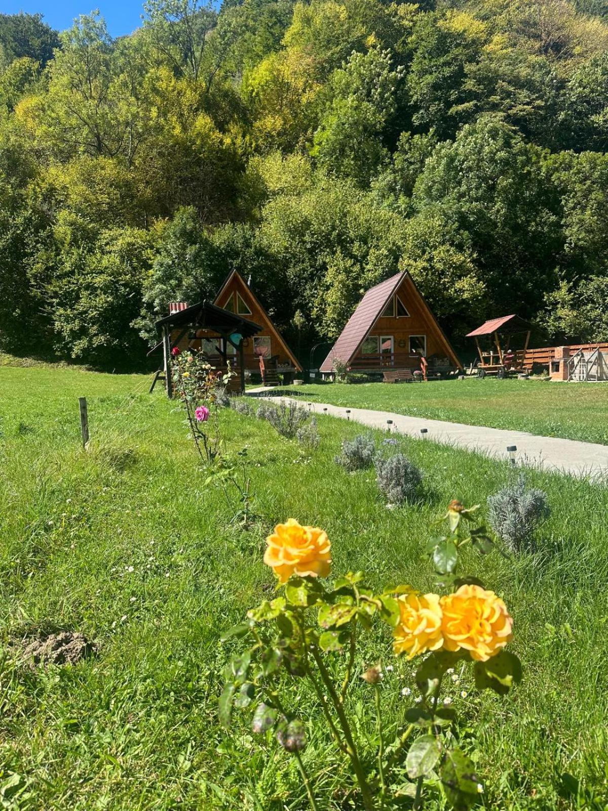 Cabanutze Satic Villa Rucăr Exterior photo